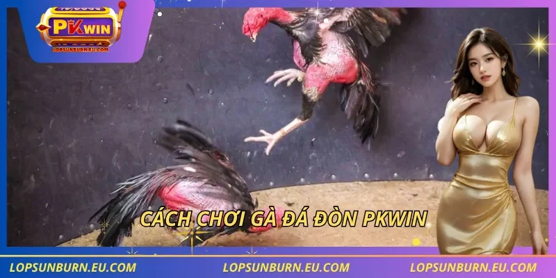 Cách chơi gà đá đòn PKWIN