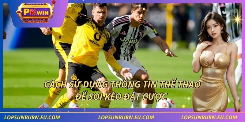 Cách sử dụng thông tin thể thao để soi kèo đặt cược
