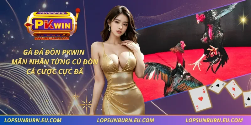 Gà Đá Đòn PKWIN – Mãn Nhãn Từng Cú Đòn, Cá Cược Cực Đã